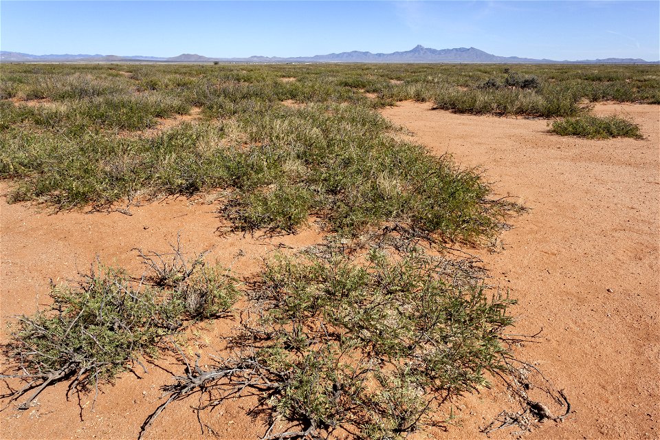 North-northeast of Antelope Hill
