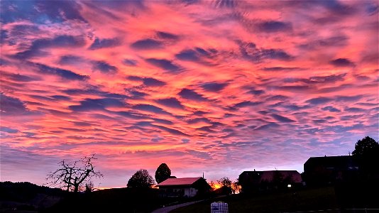 IMG_20221112_170900