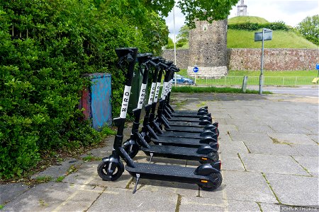 Electric Scooter Trials Canterbury Bird E Scooter