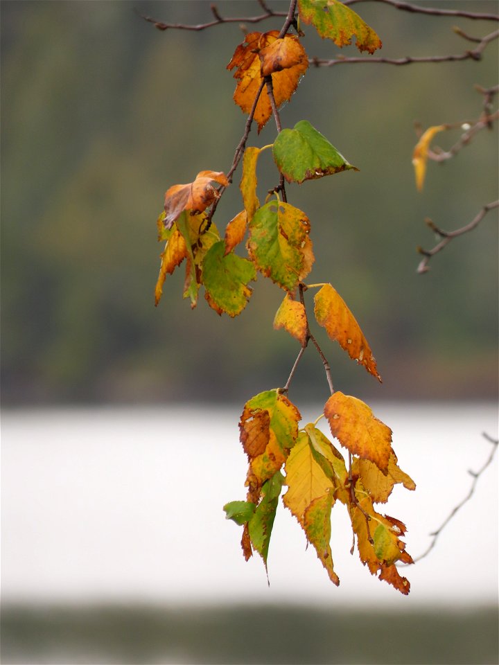 20211005-FS-Superior-SAR-006