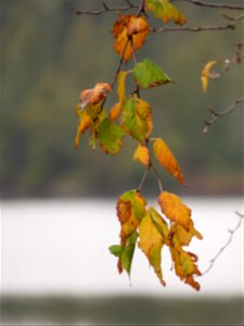 20211005-FS-Superior-SAR-006