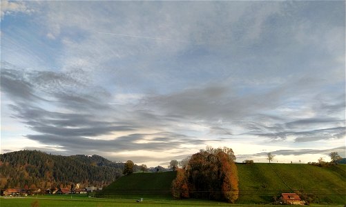 IMG_20221106_161354