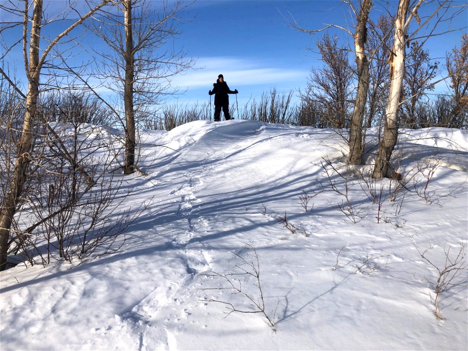 2023/365/78 This Drift is 3.2 Cori's High