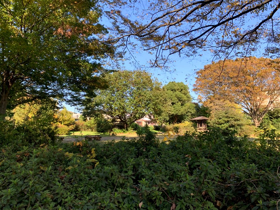 Shimosatohonmuraiseki Park in Nobidome, Higashikurume-shi in November