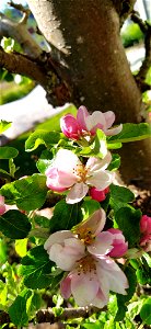 IMG_20210523_171324
