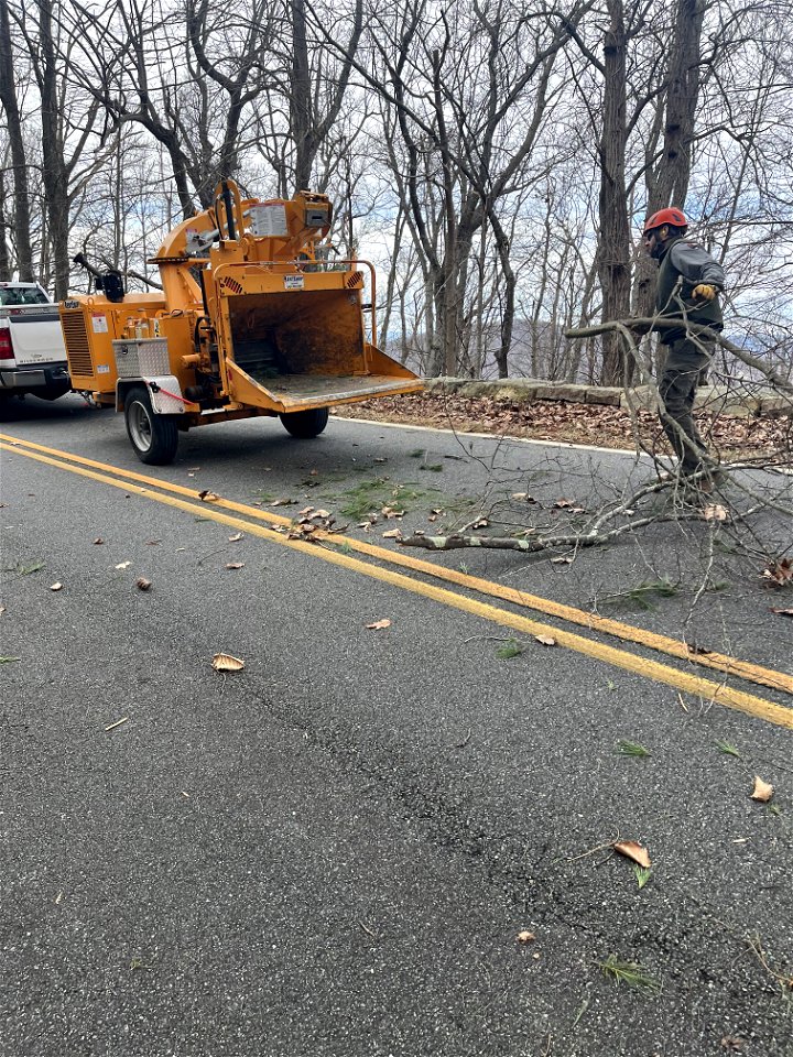 Ice Storm Cleanup