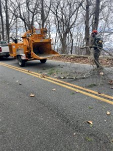 Ice Storm Cleanup