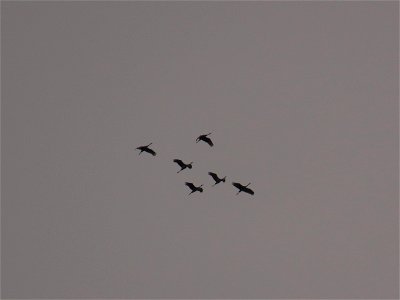 20210921-FS-Superior-SAR-016