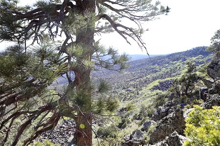 MAY 17: Scenic overlook on Mount Logan