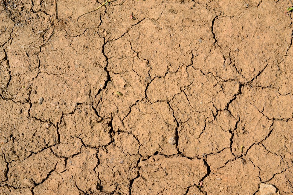 Free textures with cracks