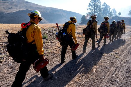 Doagy Fire photo