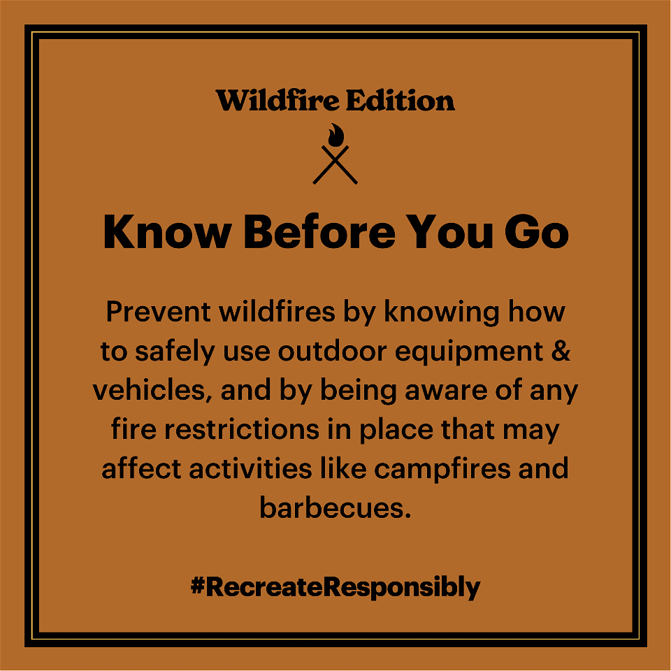 Updated Wildfire Edition (English)