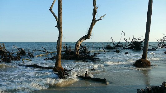 video-high tide-P1950060
