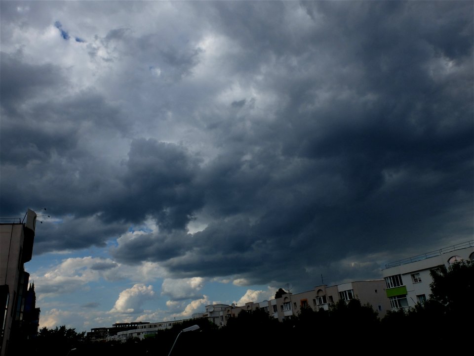 nori-sediu2015_0526_164940(1)