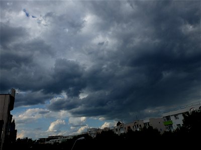 nori-sediu2015_0526_164940(1)