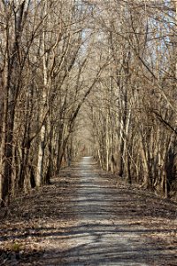 Lewis and Clark Trail of Discovery photo