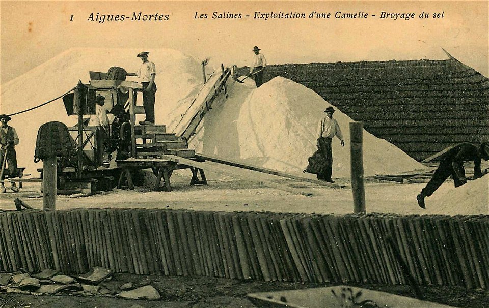 Aigues-Mortes : les Salins du Midi