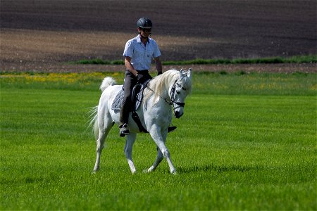 4-Dschesim_OS223322