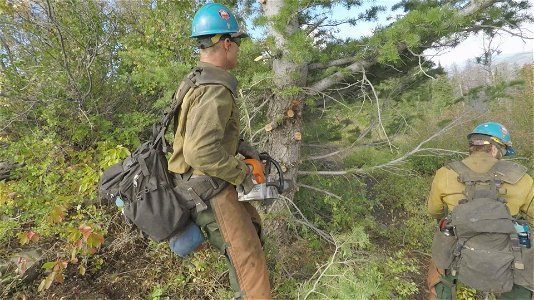 Wildland Firefighters Cutting Line