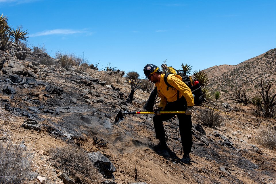 A Firefighter Putting out Hot Spots in a Burned Area of the Elk Fire