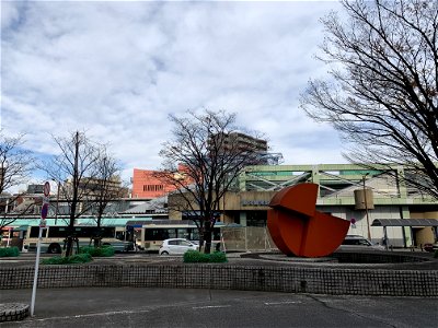Honcho Higashikurume-shi in November
