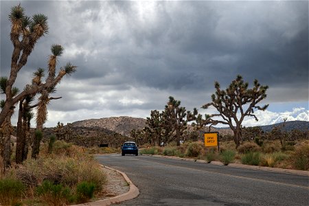 Stormy Roadway photo