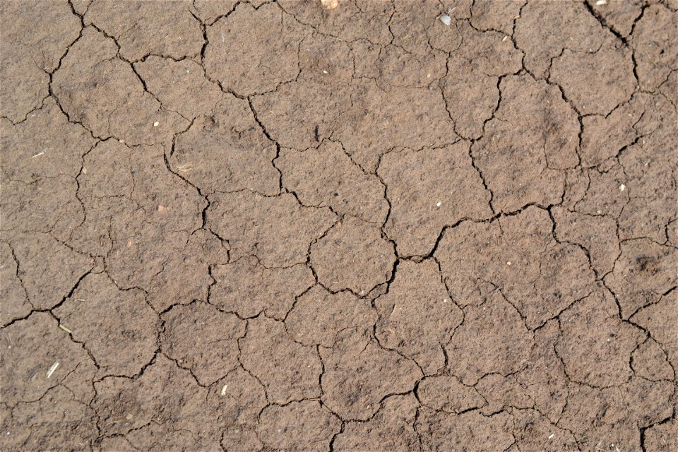 Free textures with cracks