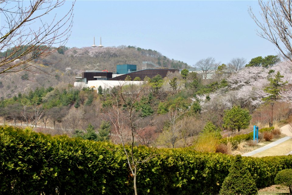 Younginsan Park Spring 2023