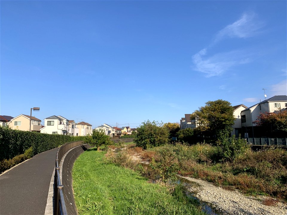 Karabori River in Noshio, Kiyose-shi in early November