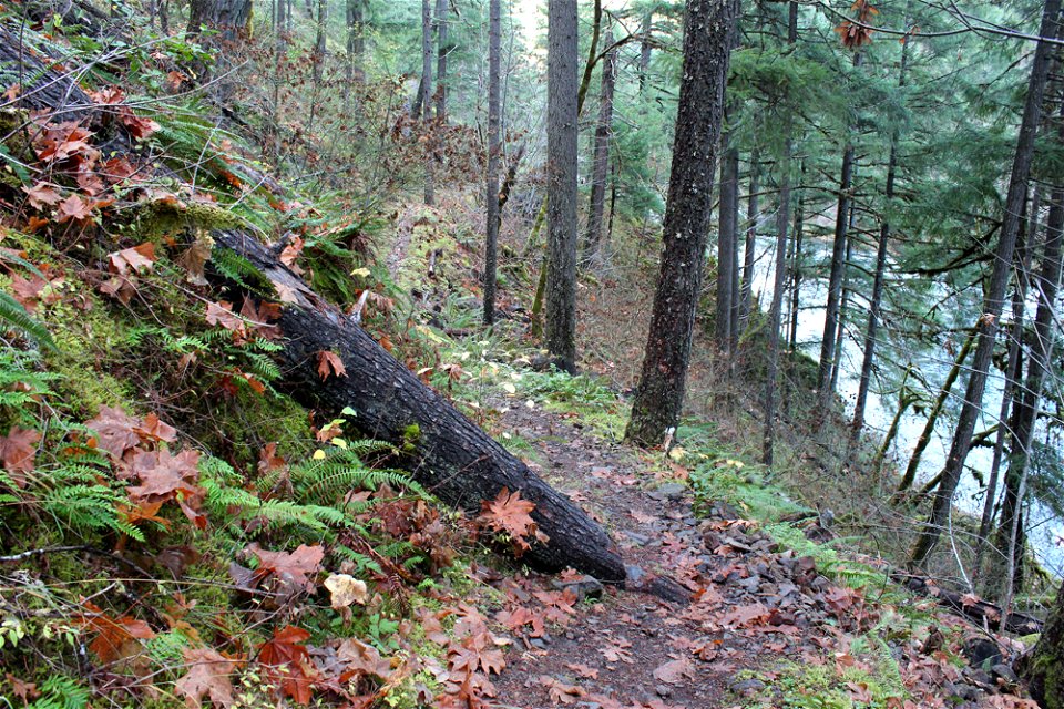 img_2197_trail17jpg_49364723367_o