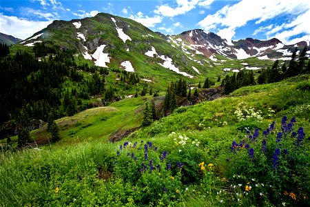 CO Alpine loop photo