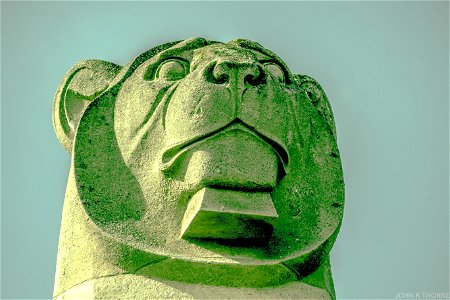 Stone Lion
