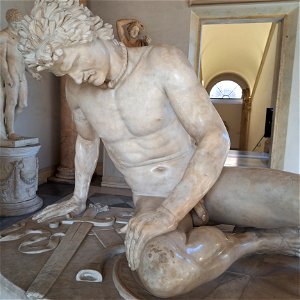 Dying Gaul from the front Capitoline Museum Rome Italy