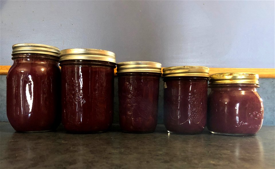 Chokecherry Jelly Lineup