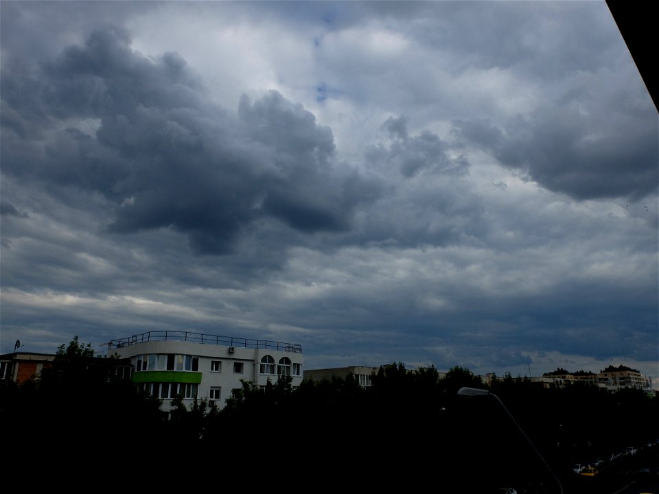 nori-sediu2015_0526_164927