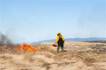 Siuslaw Oregon Dunes Prescribed Burn 2022