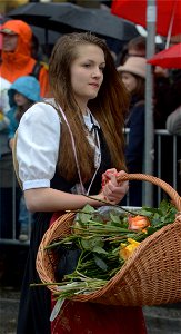 Sechselaüten, Zürich