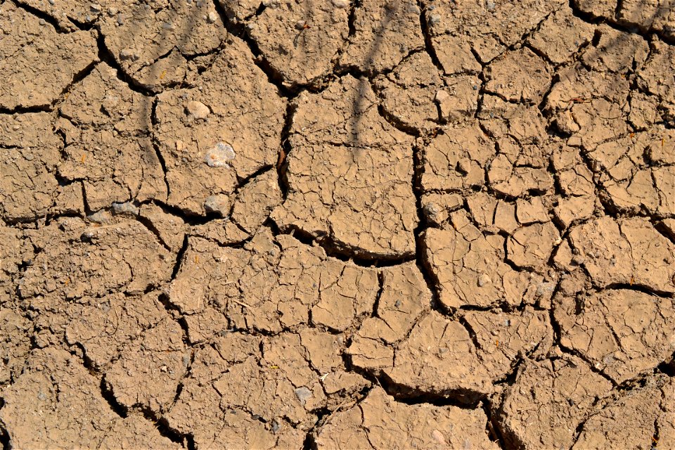 Free textures with cracks