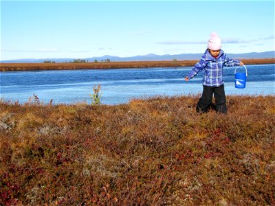 2015_Selawik_SC_on the tundra