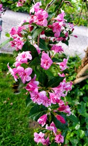 IMG_20220604_195531