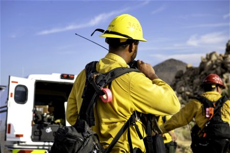 Wildland fire crew near Quail Mountain