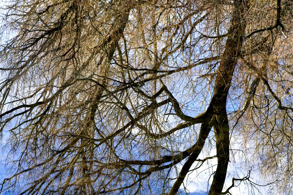 So in the sky, (almost) the same on the water