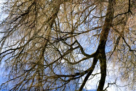 So in the sky, (almost) the same on the water photo