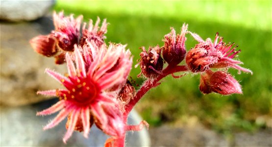 IMG_20200725_192140~2