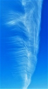 Spring feather-in-the-wind cloud photo
