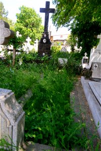Sfanta-Vineri_cemtery- (9)
