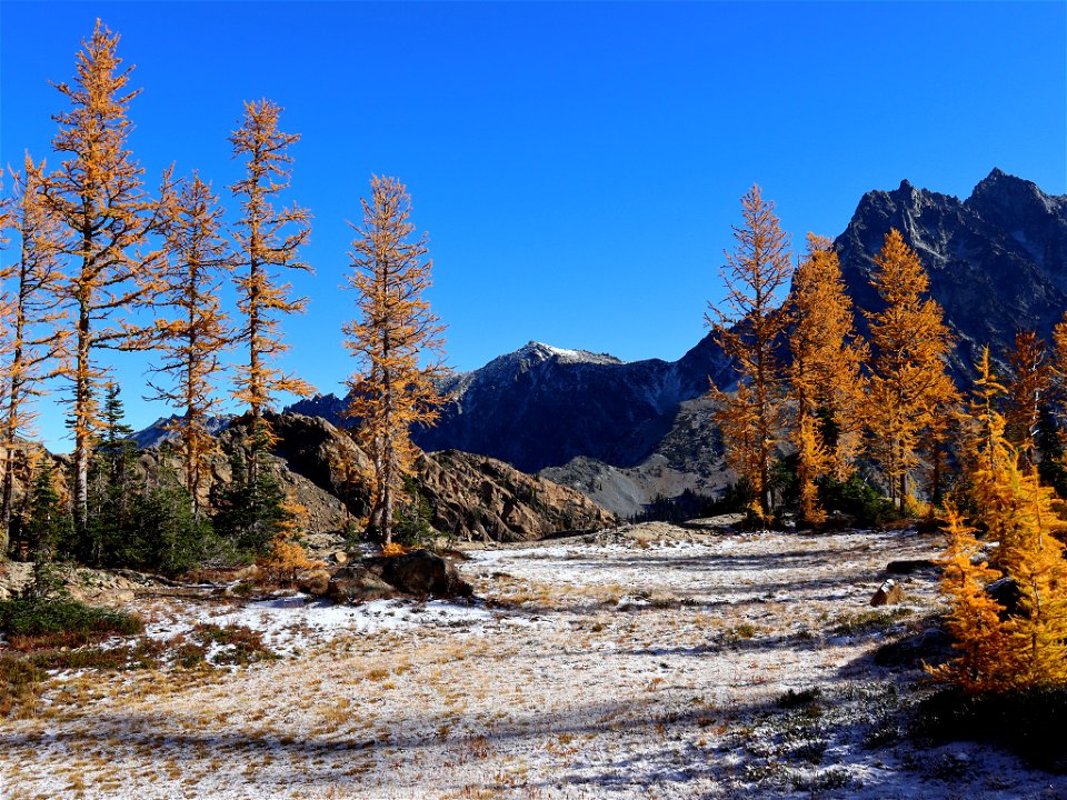 Ingalls Pass at North Cascades in WA