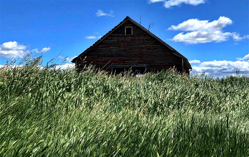 2021/365/167 The Barn Looms