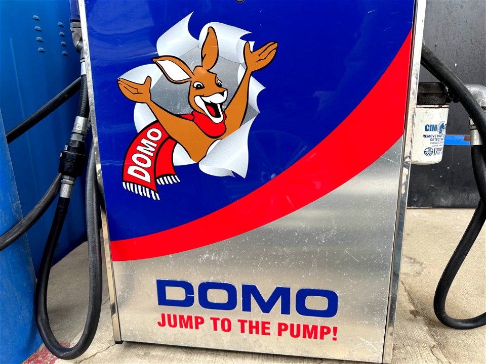 Jumping With Domo