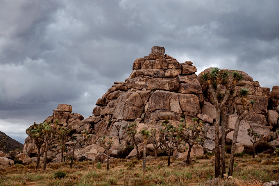 Cap Rock Weeps in Rain photo